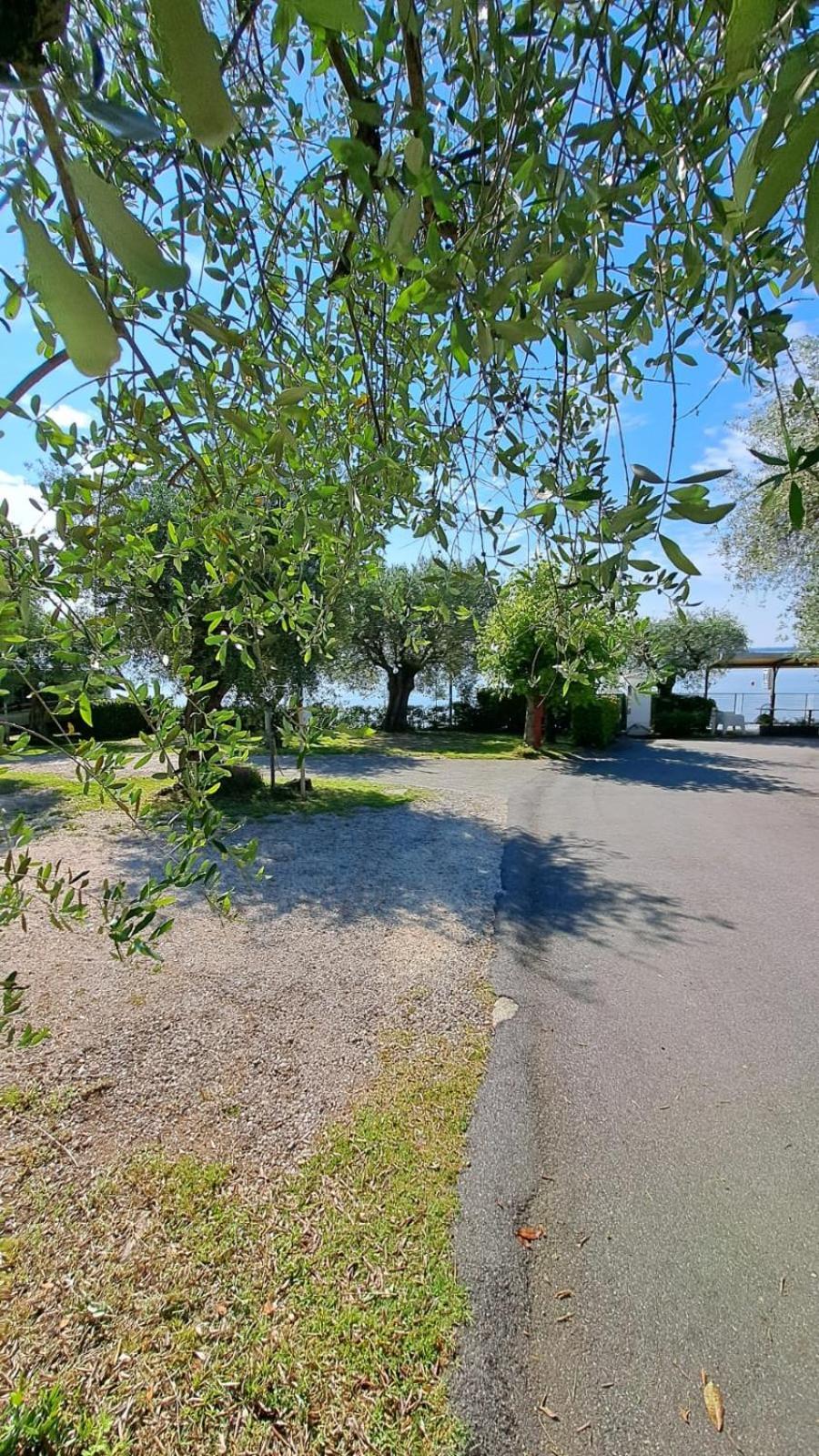 Camping Porto Srl Moniga del Garda 외부 사진