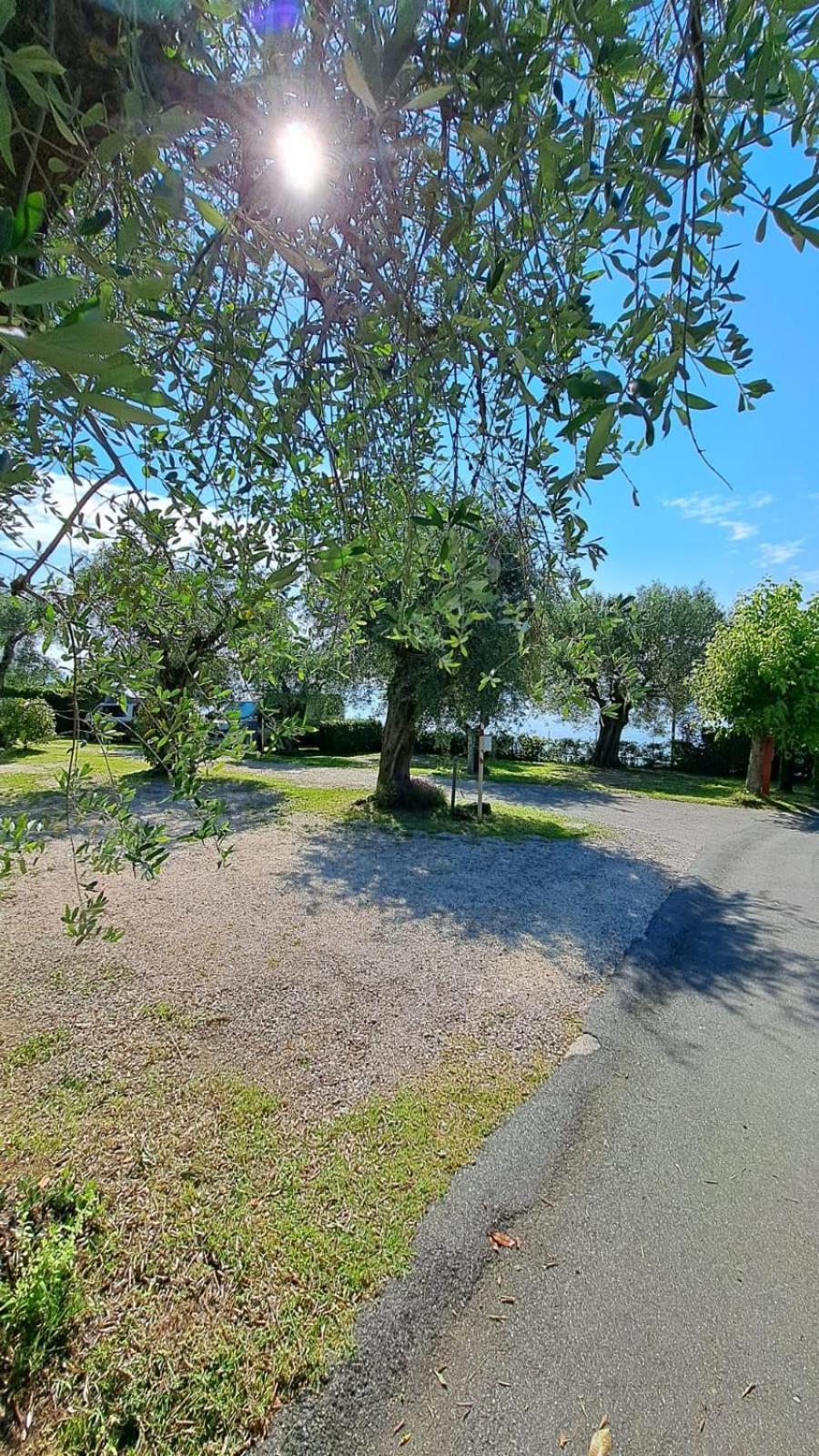 Camping Porto Srl Moniga del Garda 외부 사진