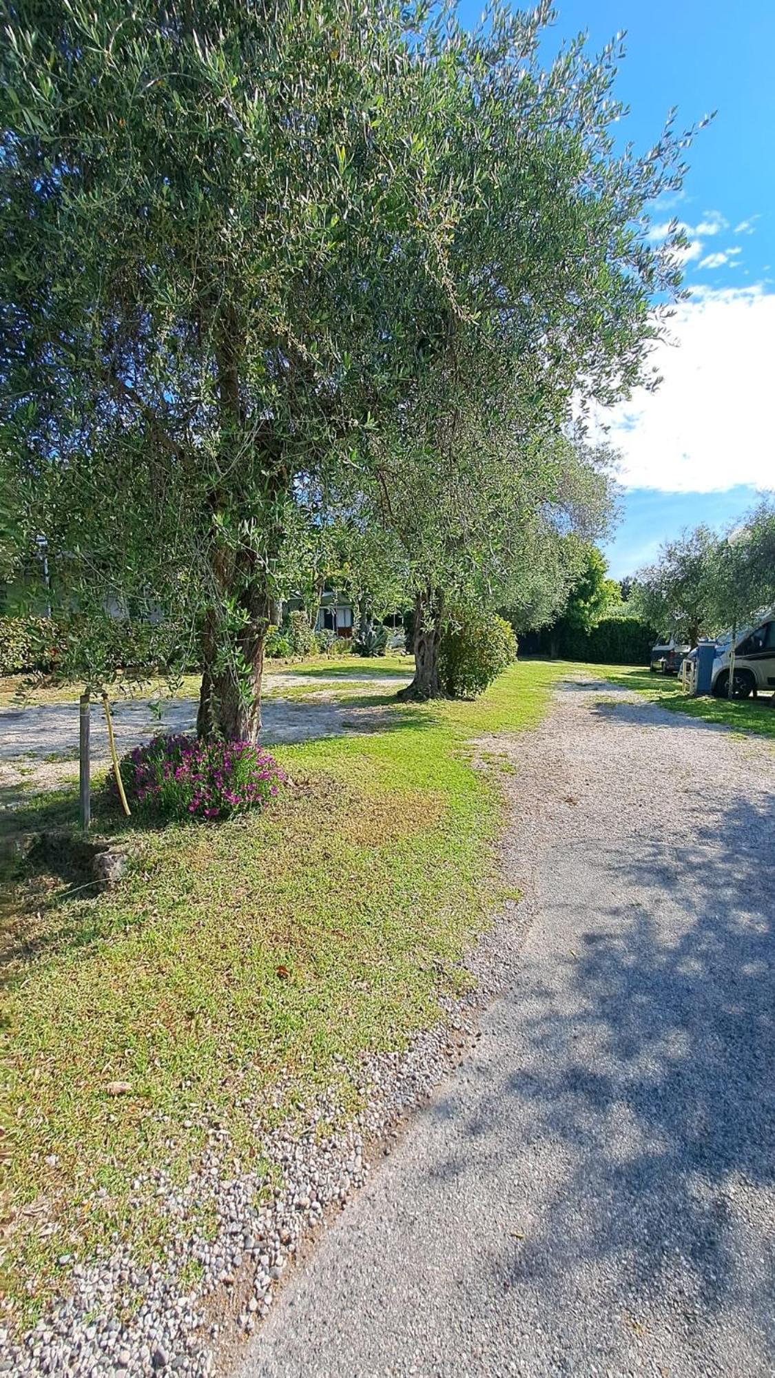 Camping Porto Srl Moniga del Garda 외부 사진